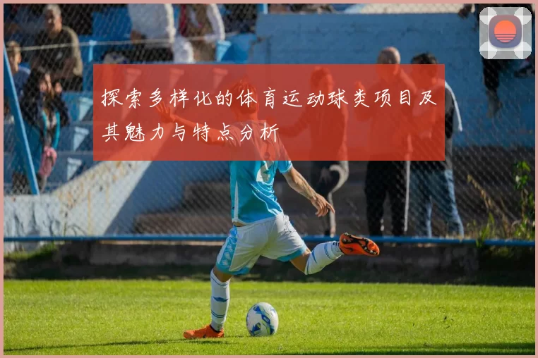 探索多样化的体育运动球类项目及其魅力与特点分析
