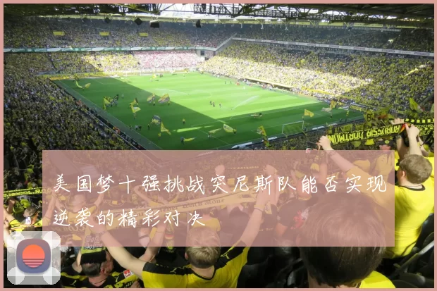 美国梦十强挑战突尼斯队能否实现逆袭的精彩对决